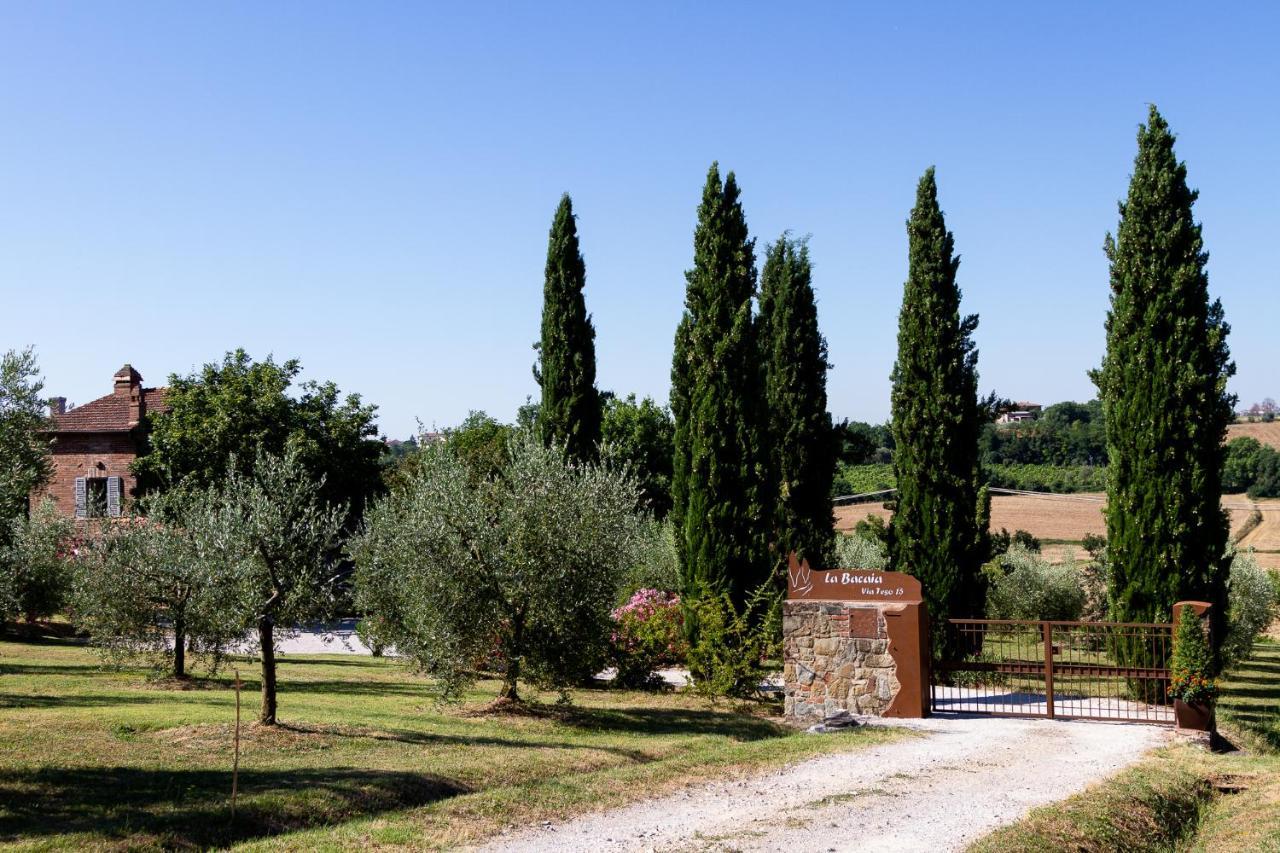 La Bacaia *